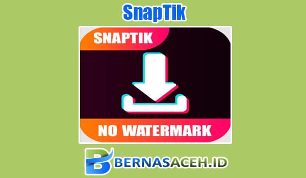 Cara Download Video TikTok Tanpa Watermark Melalui Situs Web Snaptik