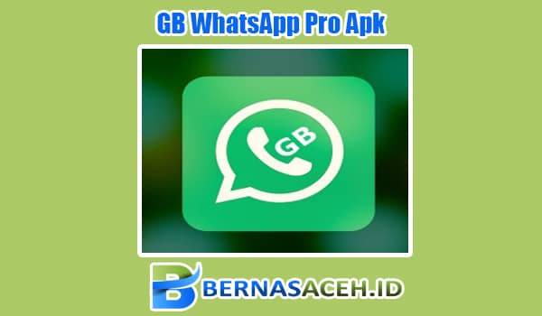Fitur Unggulan yang dimiliki GB WhatsApp Pro Apk