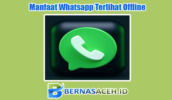 Manfaat Whatsapp Terlihat Offline dan Centang Satu Saat Online